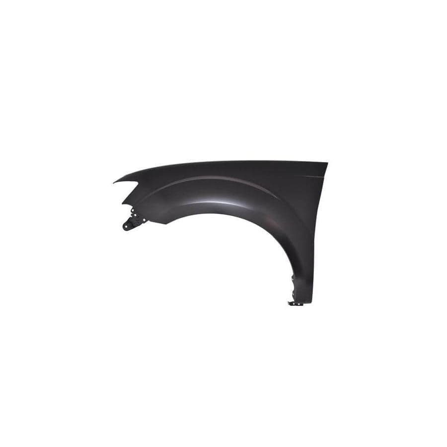 Abakus 03343261 Wing Fender For Mitsubishi Outlander Ii Off-Road (Cw_W) | ML Performance UK