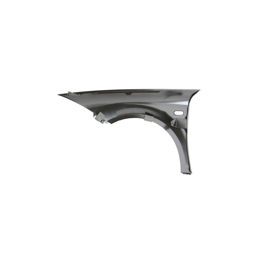 Blic 6504-04-6613312P Wing Fender For Seat Leon II Hatchback (1P1)