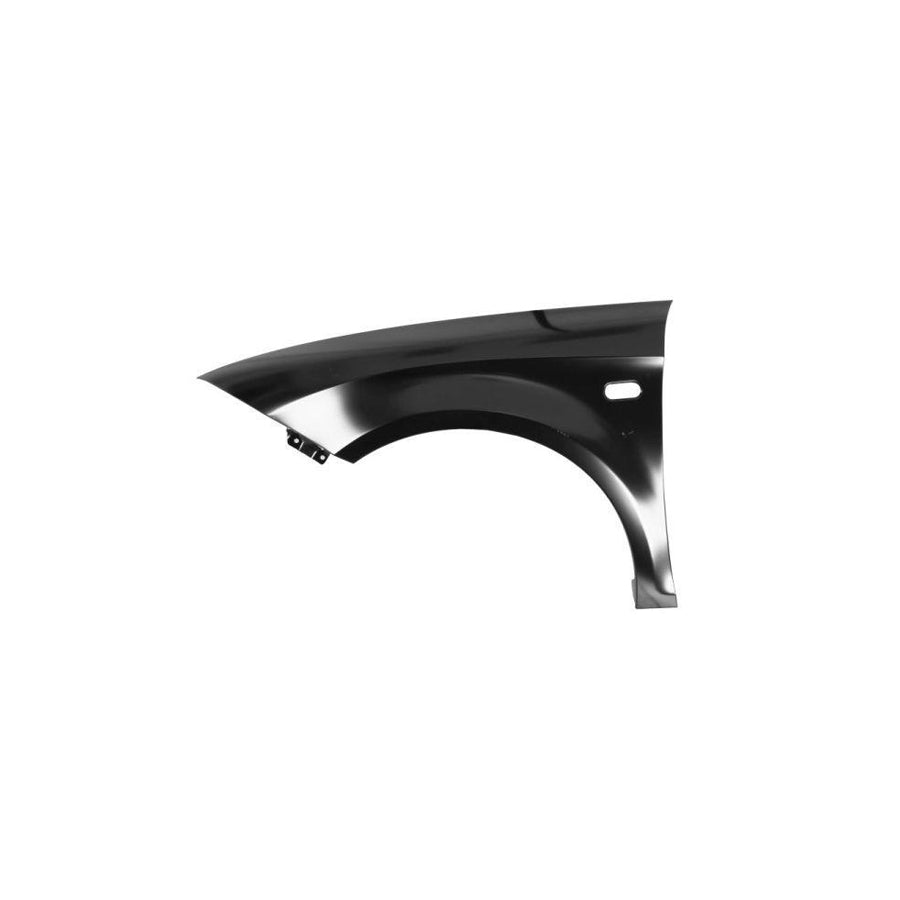 Blic 6504-04-6613311Q Wing Fender For Seat Leon II Hatchback (1P1)