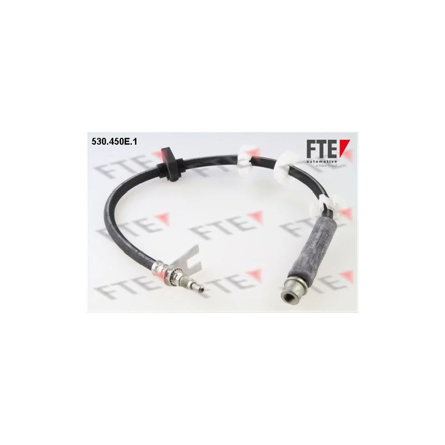 Fte 9240752 Brake Hose For Peugeot 406 | ML Performance UK Car Parts