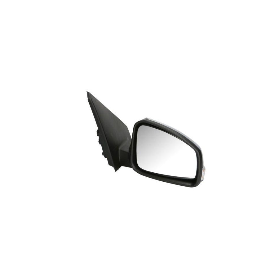 Blic 5402-09-2002192P Wing Mirror