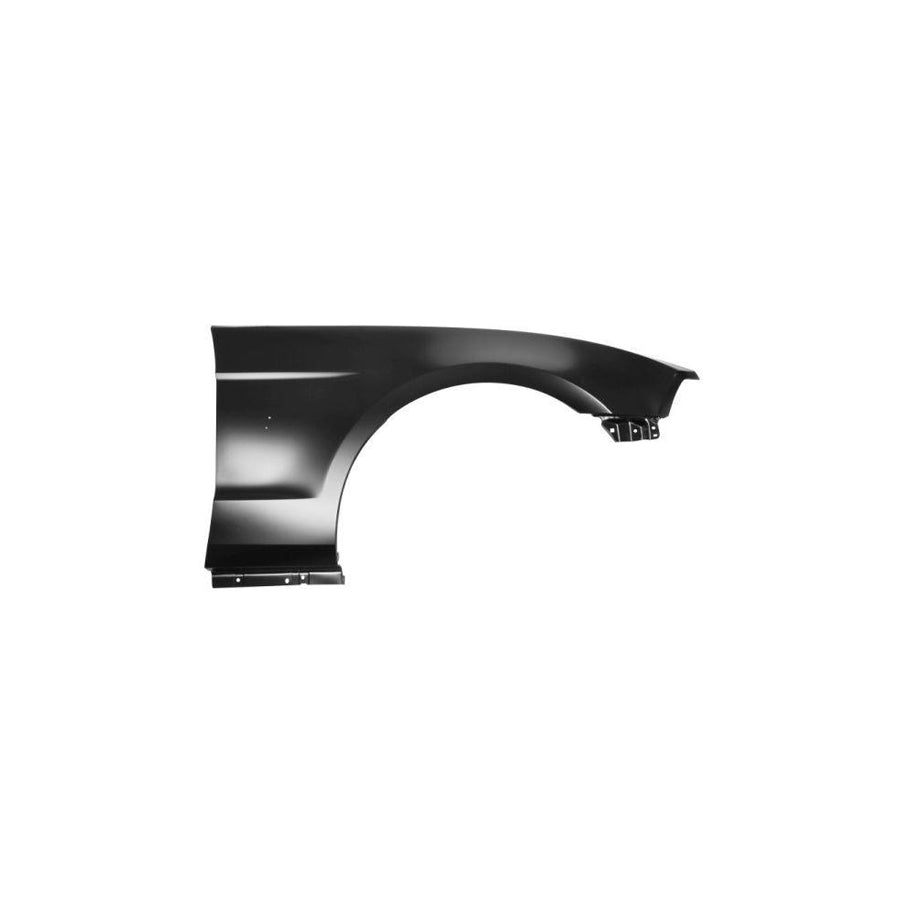 Blic 6504-04-2585318P Wing Fender For Ford Usa Mustang