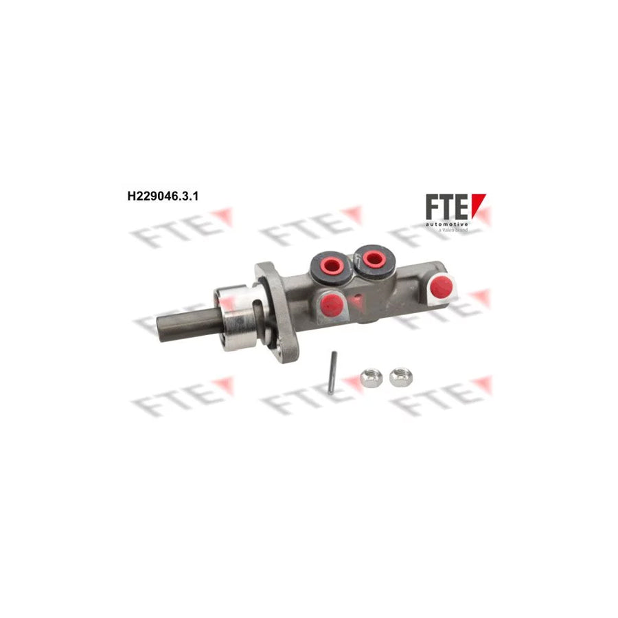 Fte 9220168 Brake Master Cylinder | ML Performance UK Car Parts