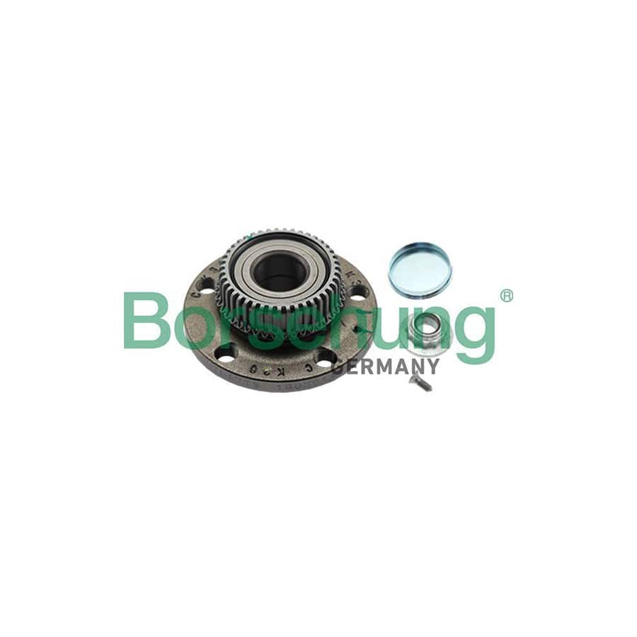 Borsehung B19231 Wheel Bearing Kit