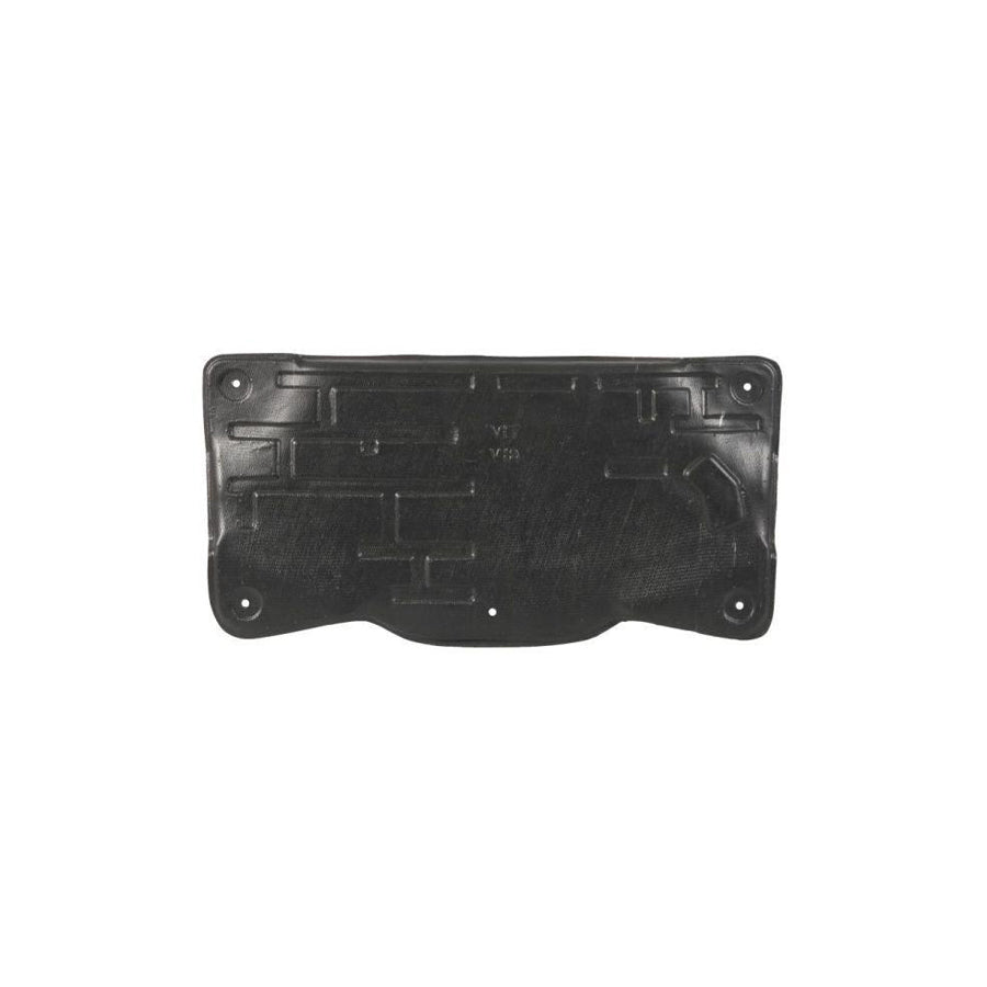 Blic 6601-02-3541862P Engine Cover