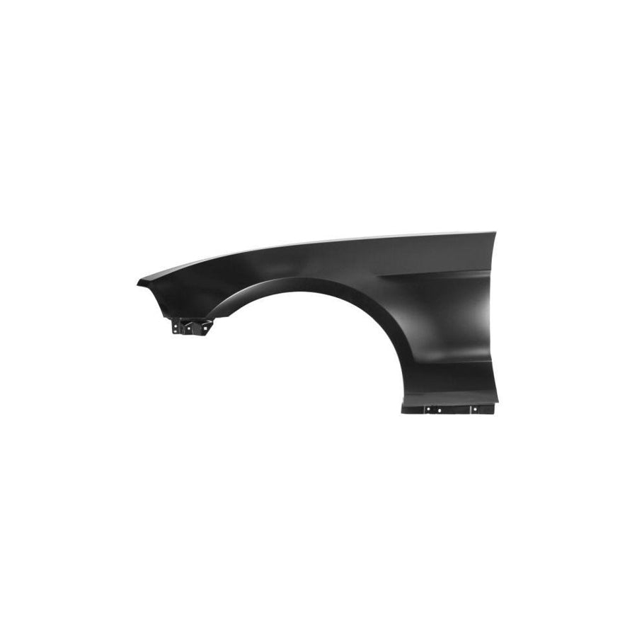 Blic 6504-04-2585315P Wing Fender For Ford Usa Mustang