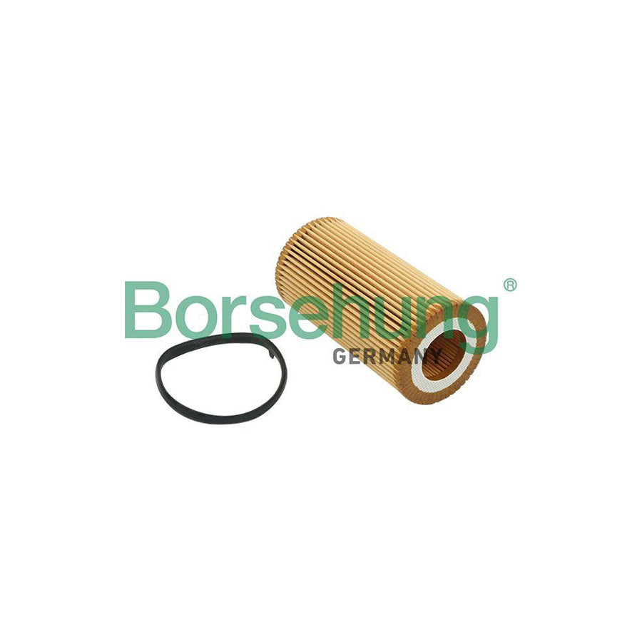 Borsehung B12815 Oil Filter