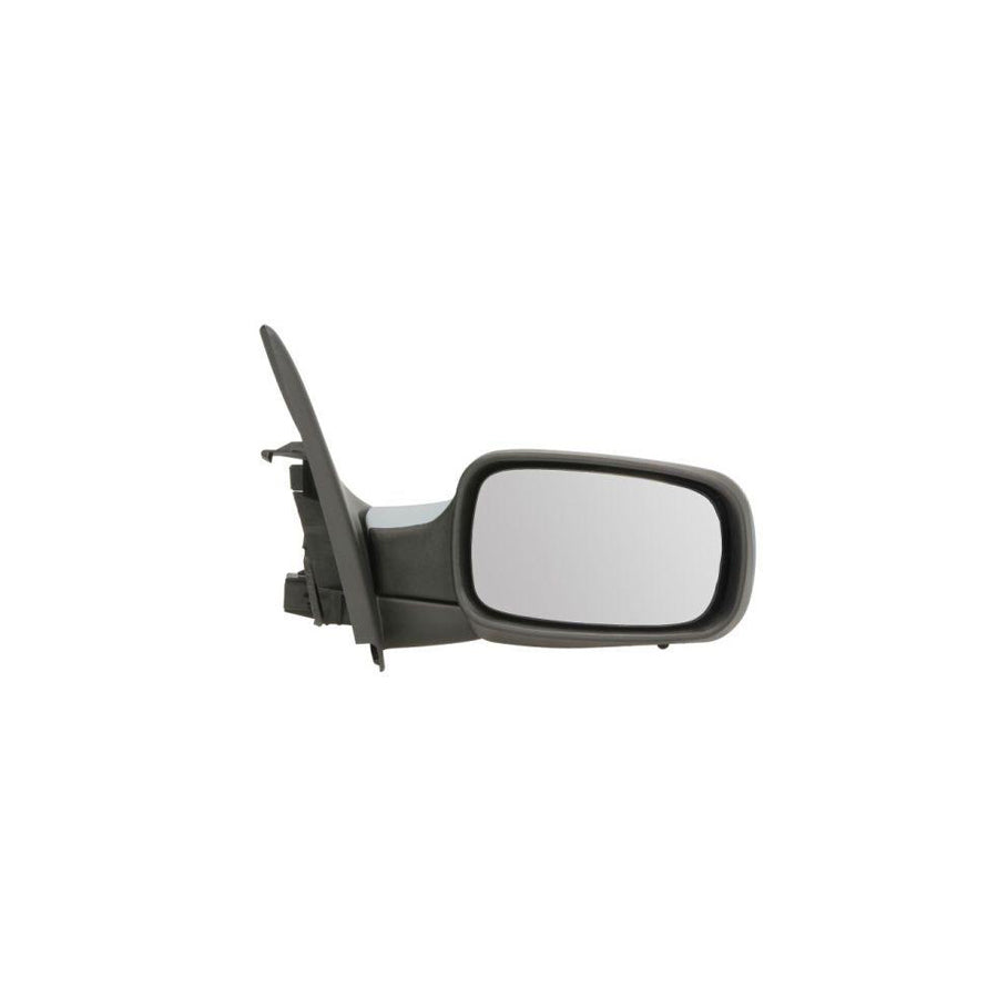 Blic 5402-09-2002188P Wing Mirror For Renault Megane