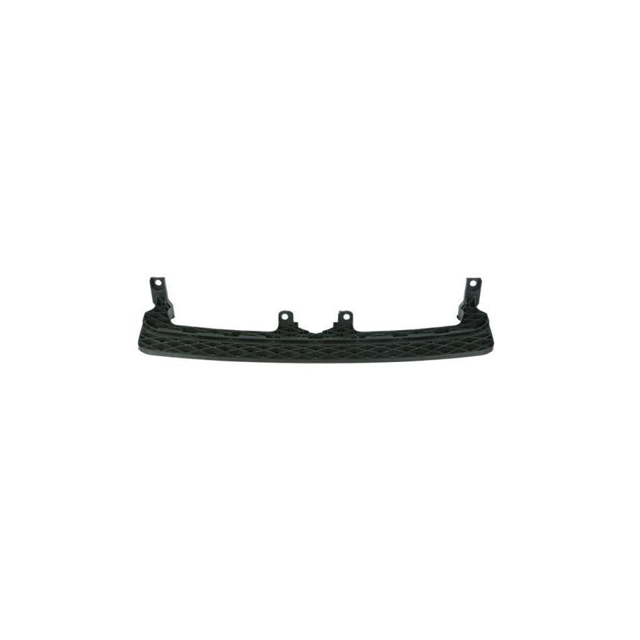 Blic 5510-00-5029902P Bumper