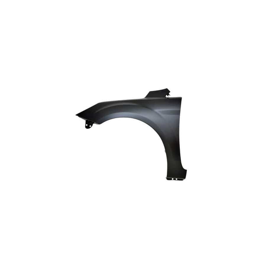 Abakus 01713201 Wing Fender For Ford Focus | ML Performance UK