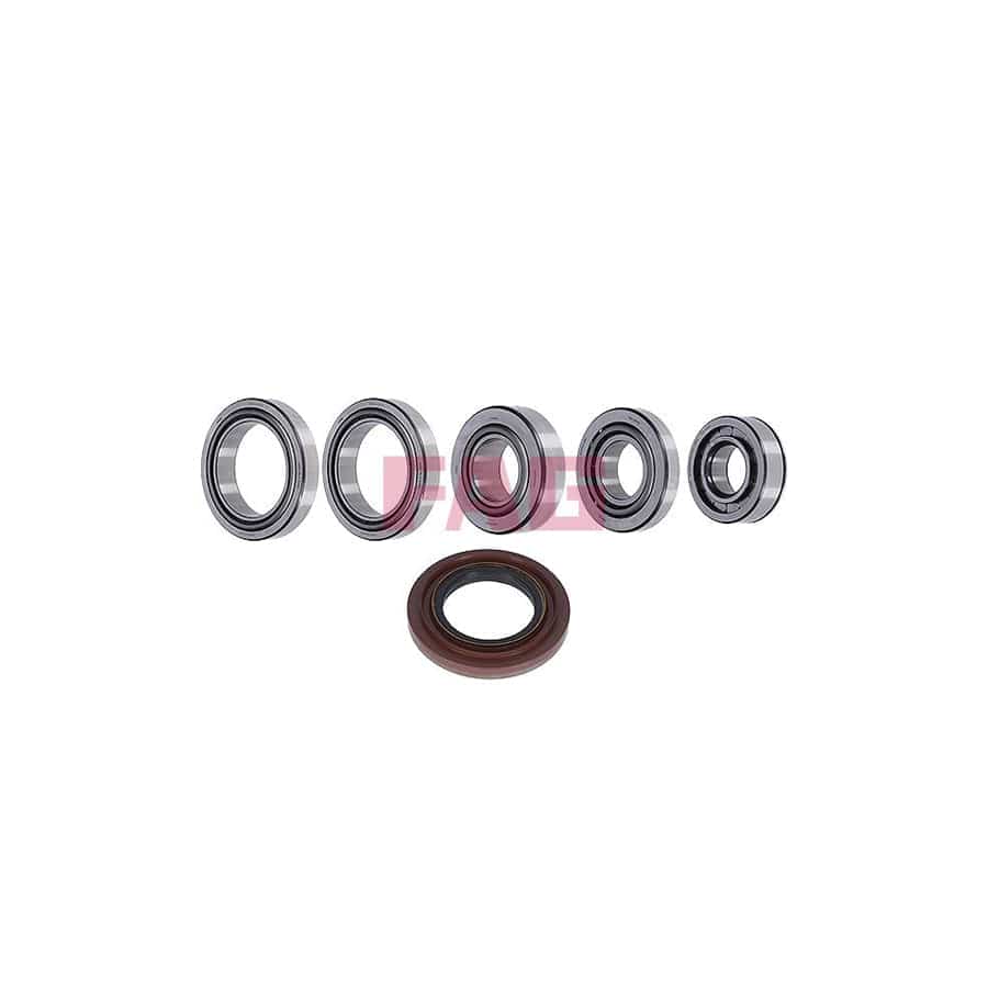 FAG 463 0124 10 Repair Kit, Differential