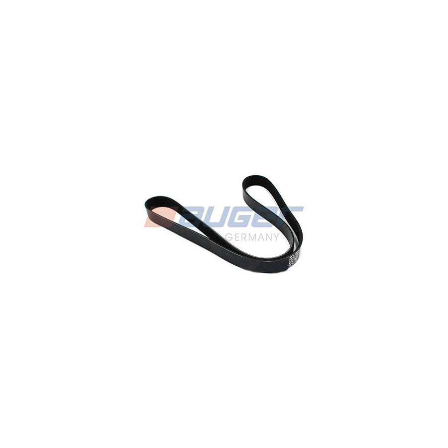 Auger 79916 V-Ribbed Belt