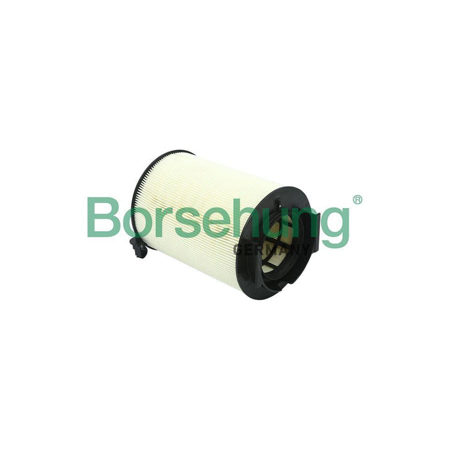 Borsehung B12812 Air Filter