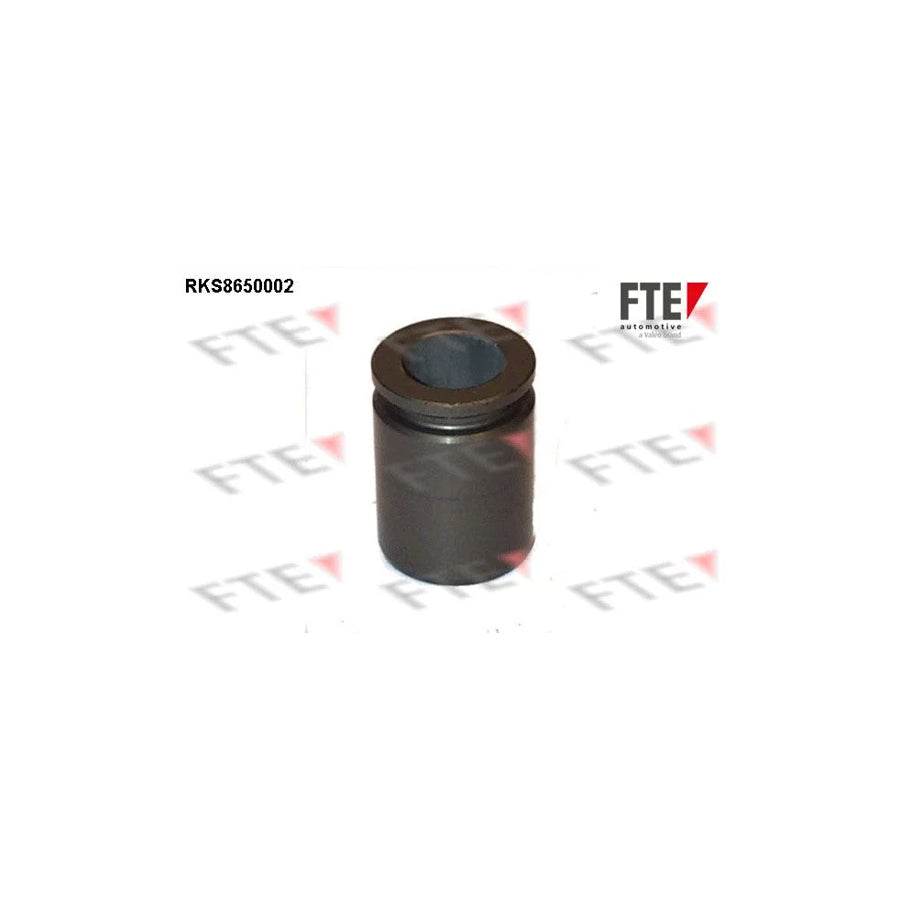 Fte 9313451 Piston, Brake Caliper | ML Performance UK Car Parts