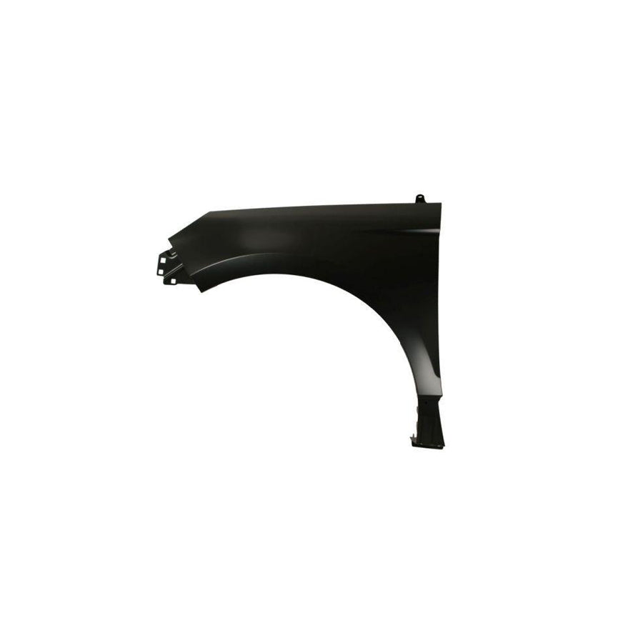 Blic 6504-04-2598311P Wing Fender