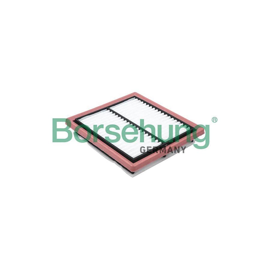 Borsehung B12809 Air Filter