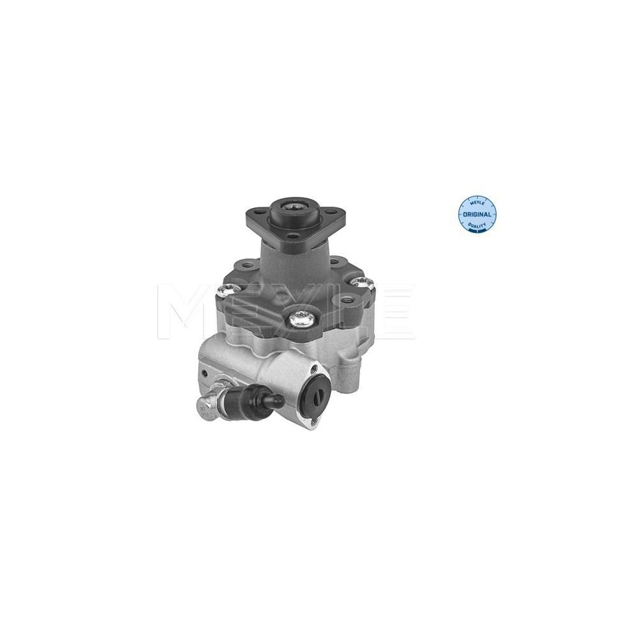 Meyle 114 631 0055 Power Steering Pump