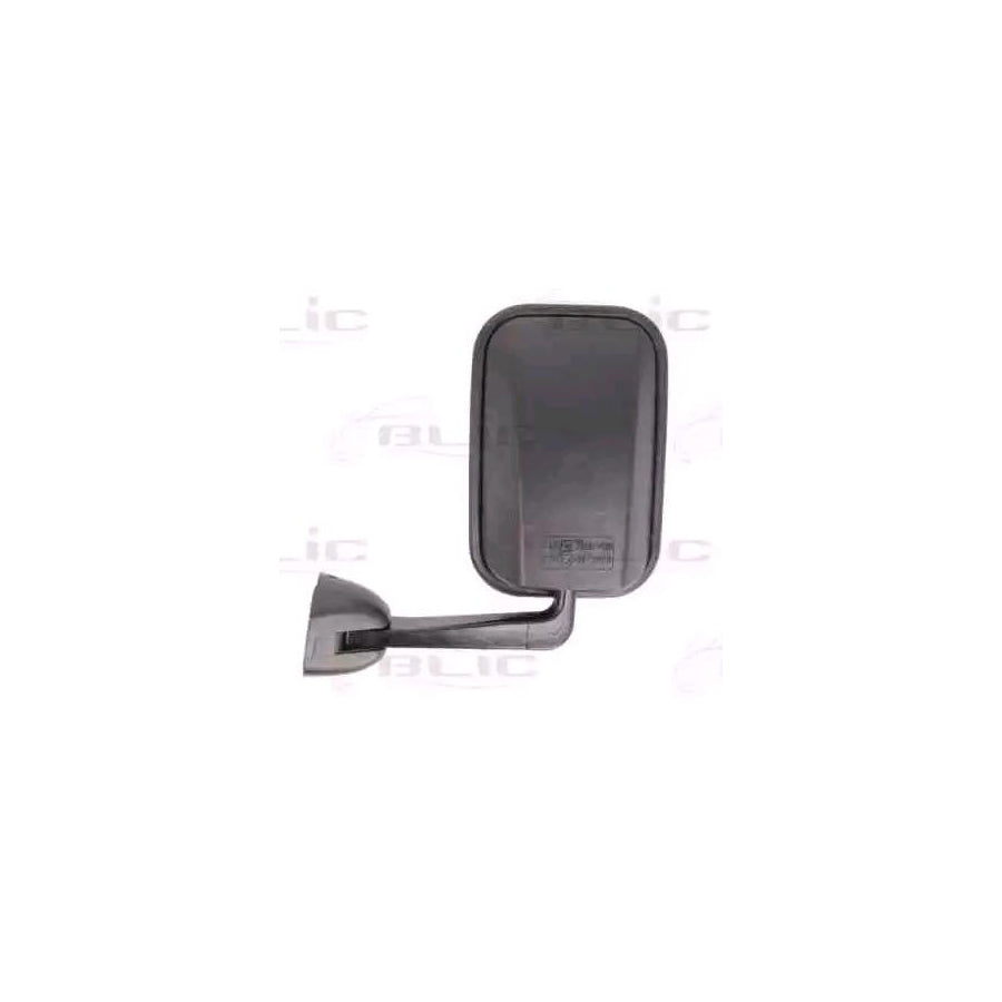 Blic 5402-09-2002183P Wing Mirror For Renault Master