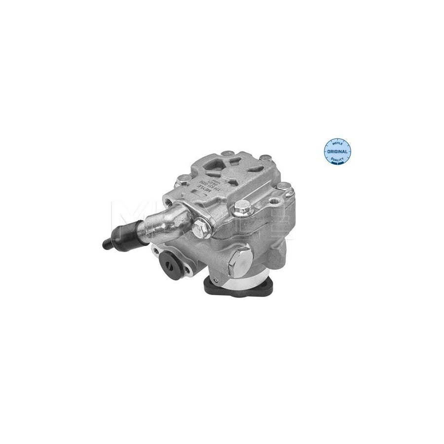 Meyle 114 631 0059 Power Steering Pump For VW Crafter