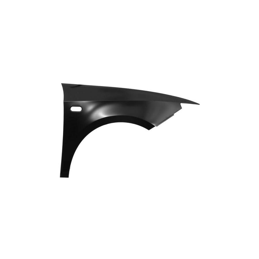 Blic 6504-04-6621312Q Wing Fender For Seat Ibiza