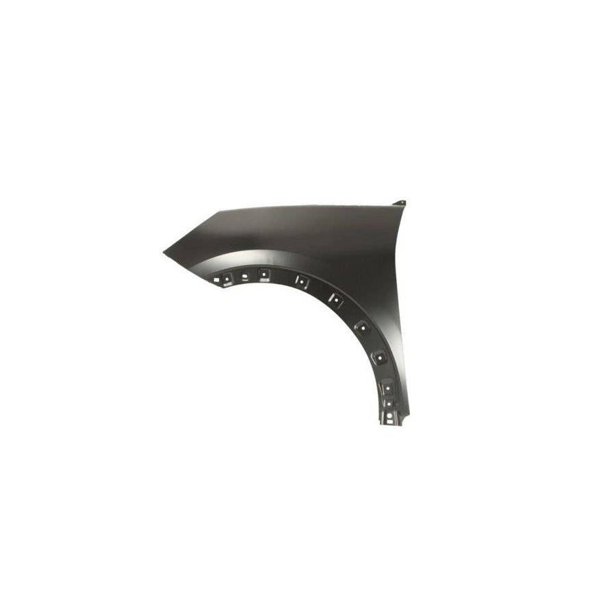 Blic 6504-04-2595311P Wing Fender