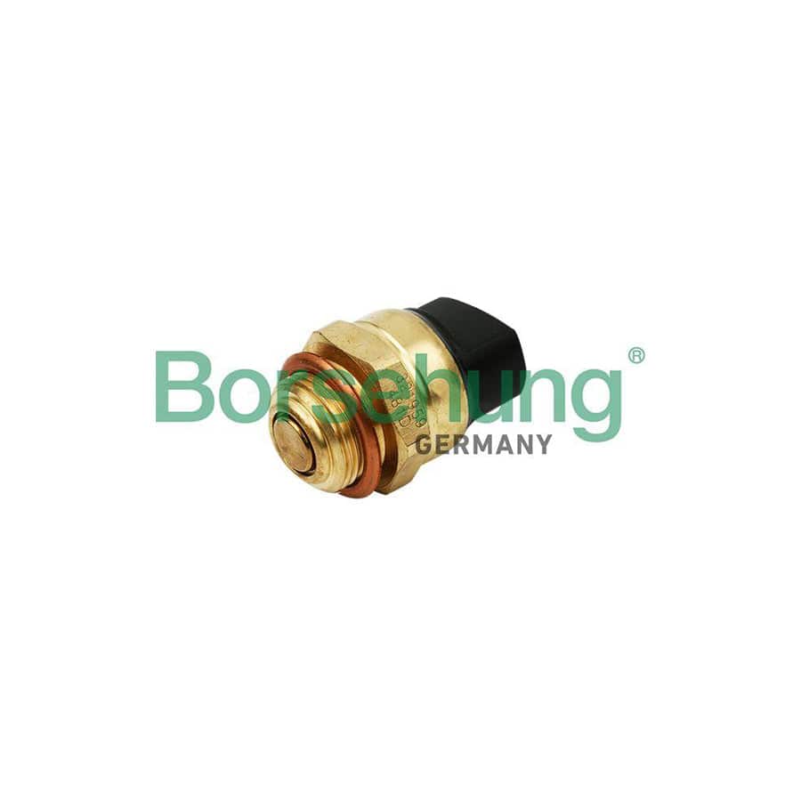 Borsehung B13131 Temperature Switch, Radiator Fan