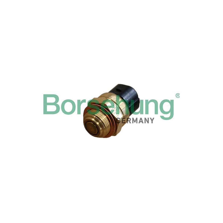 Borsehung B13130 Temperature Switch, Radiator Fan