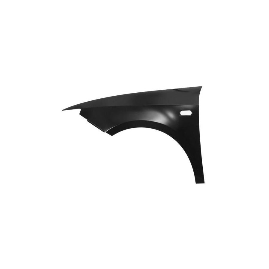 Blic 6504-04-6621311Q Wing Fender For Seat Ibiza