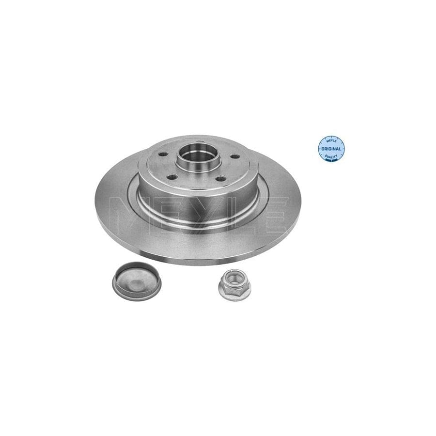 Meyle 16-15 523 4102 Brake Disc For Renault Megane Ii Hatchback (Bm, Cm)