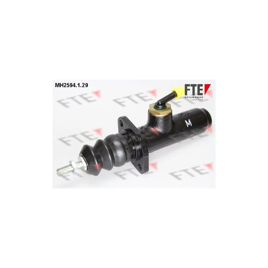 Fte 9722134 Brake Master Cylinder | ML Performance UK Car Parts