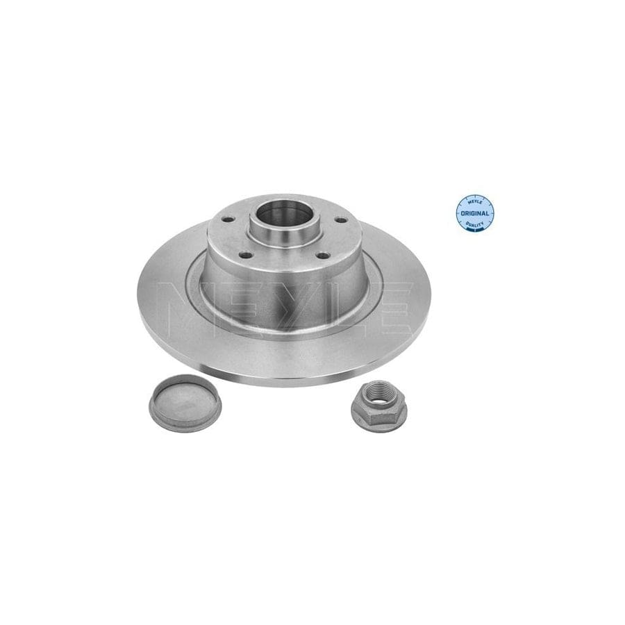 Meyle 16-15 523 4106 Brake Disc For Renault Megane Iii Coupe (Dz)