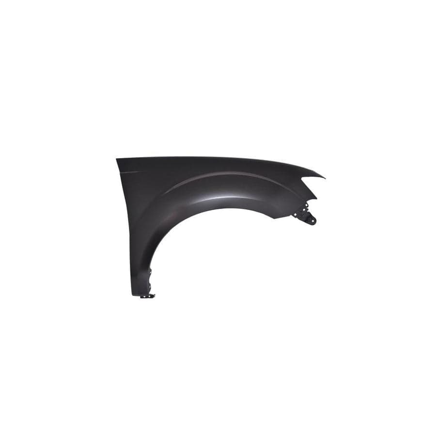 Abakus 03343262 Wing Fender For Mitsubishi Outlander Ii Off-Road (Cw_W) | ML Performance UK