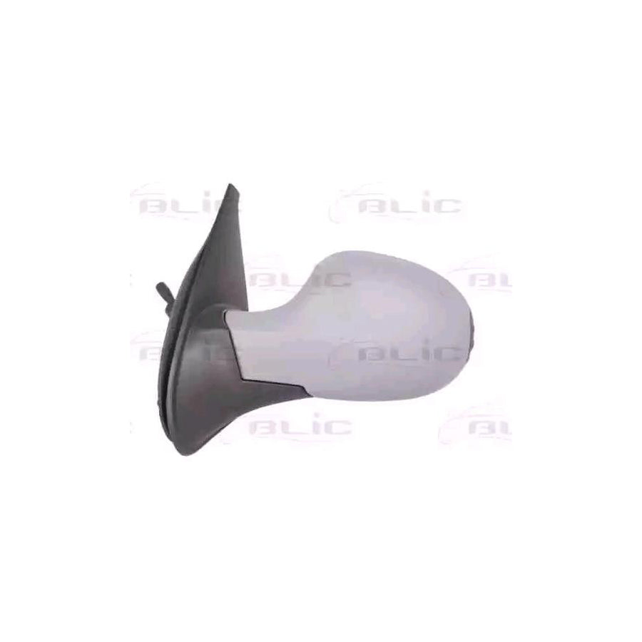 Blic 5402-09-2002209P Wing Mirror For Renault Symbol / Thalia Ii