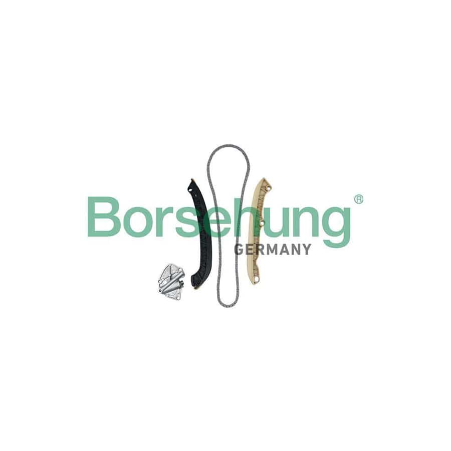 Borsehung B19255 Timing Chain Kit