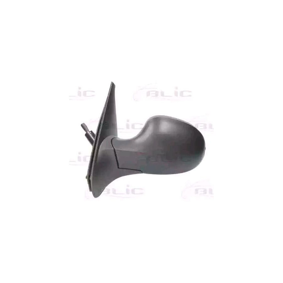 Blic 5402-09-2002207P Wing Mirror For Renault Symbol / Thalia Ii