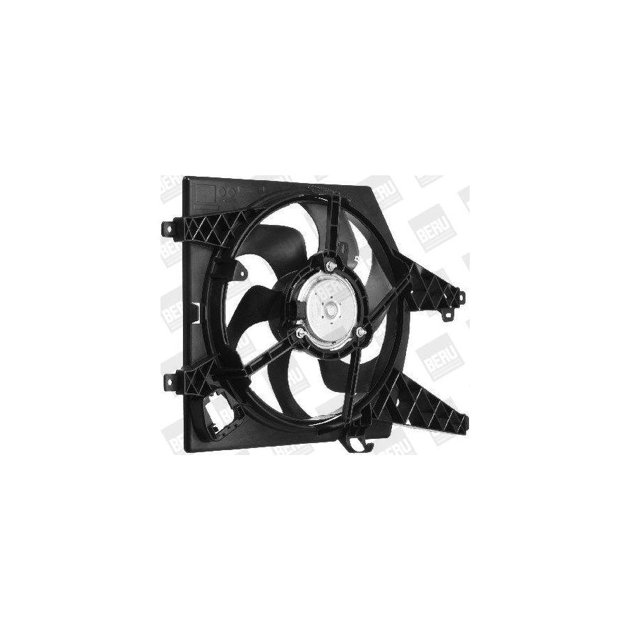 Beru LE629 Fan, Radiator