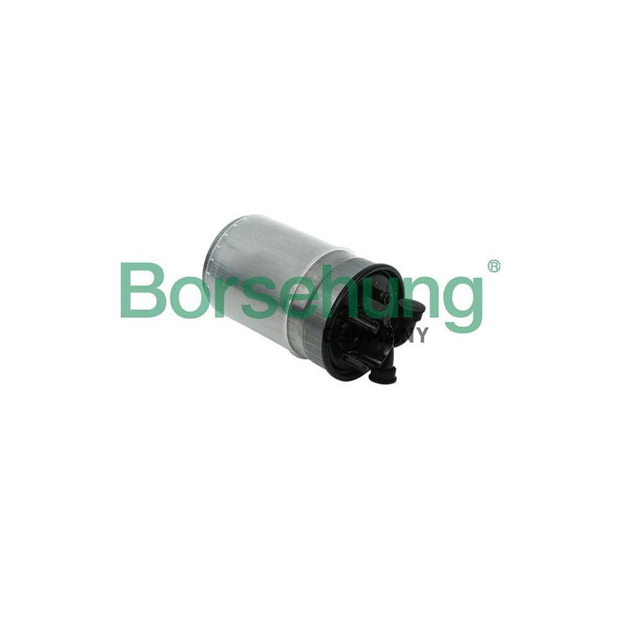 Borsehung B12823 Fuel Filter