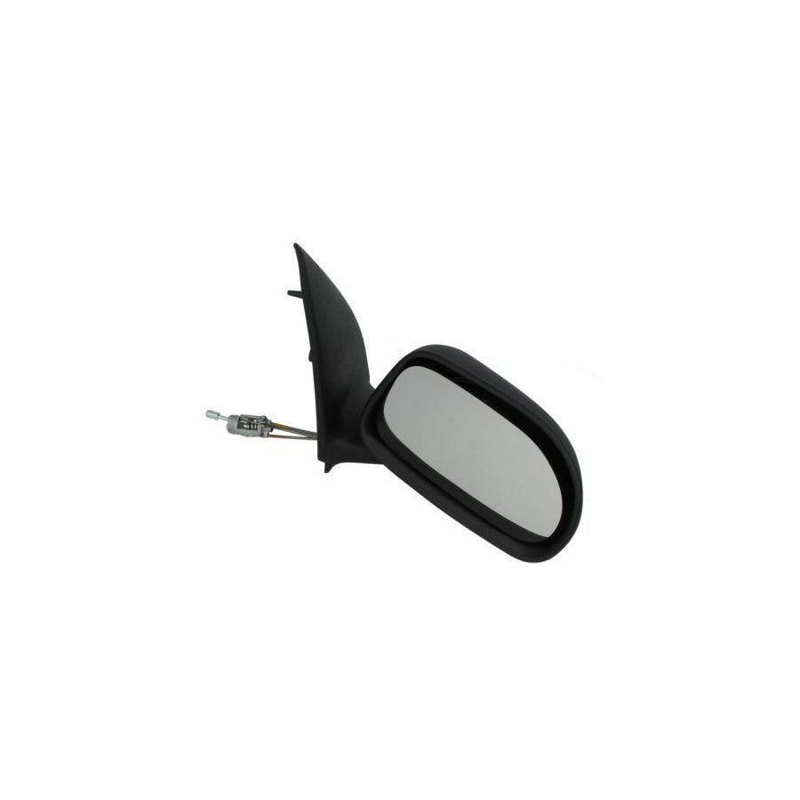 Blic 5402-04-1115300P Wing Mirror