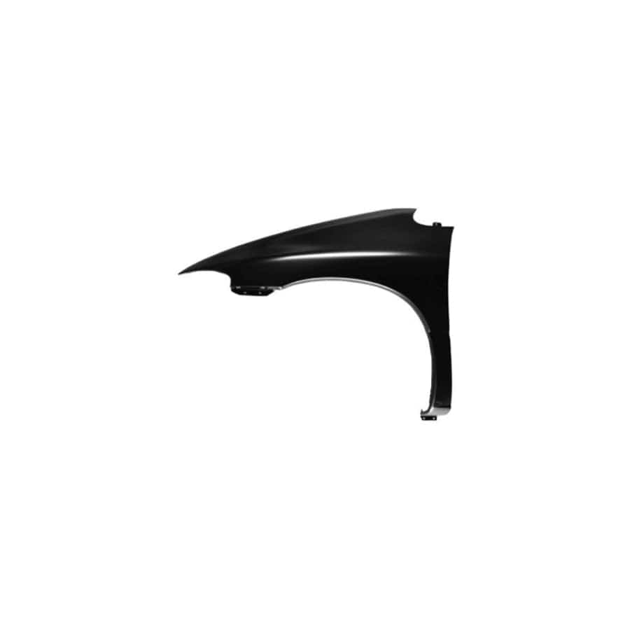 Abakus 00802201 Wing Fender For Chrysler Voyager / Grand Voyager Iii (Gs) | ML Performance UK