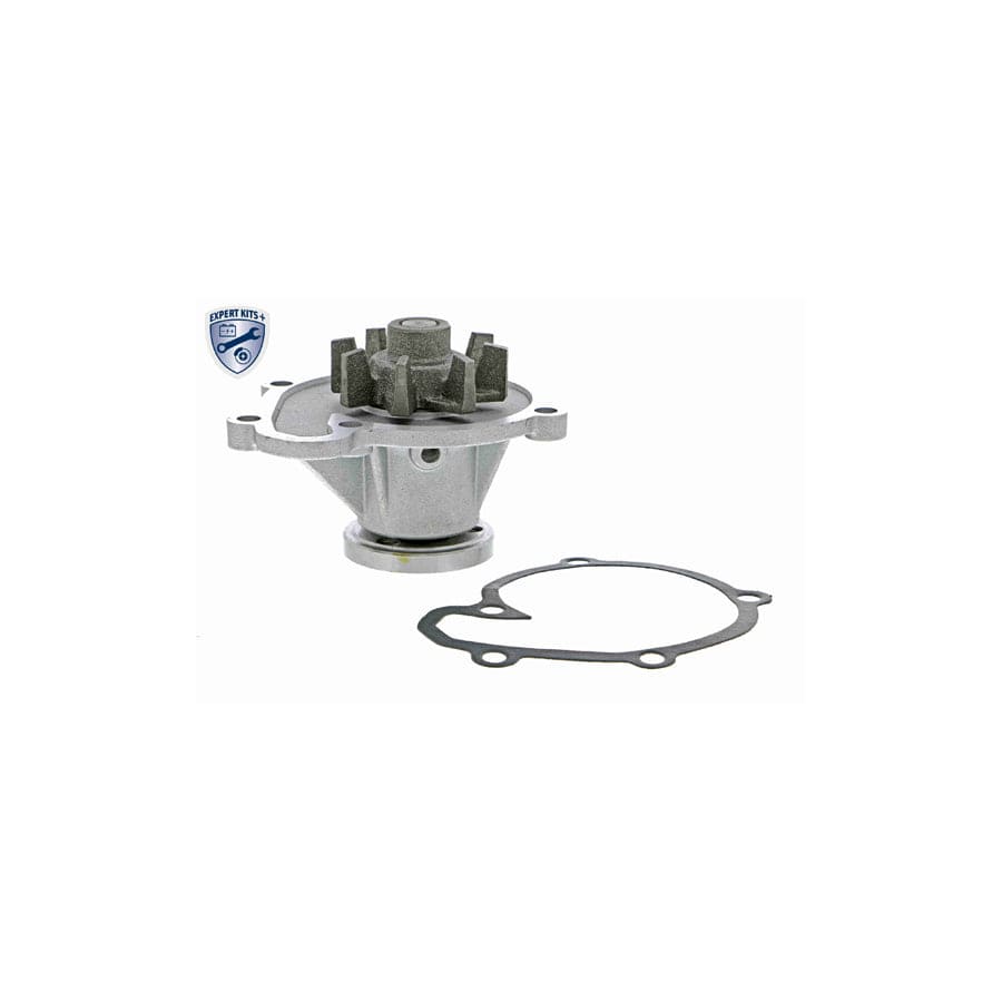 Ackoja A38-50004 Water Pump | ML Performance UK