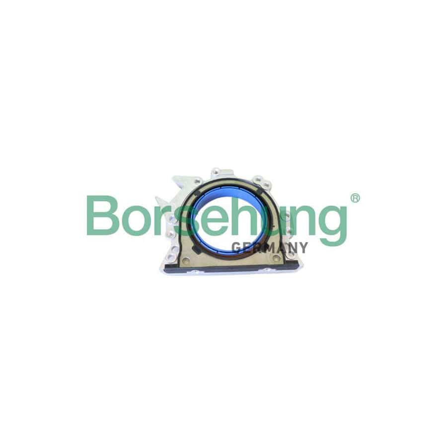 Borsehung B19244 Crankshaft Seal