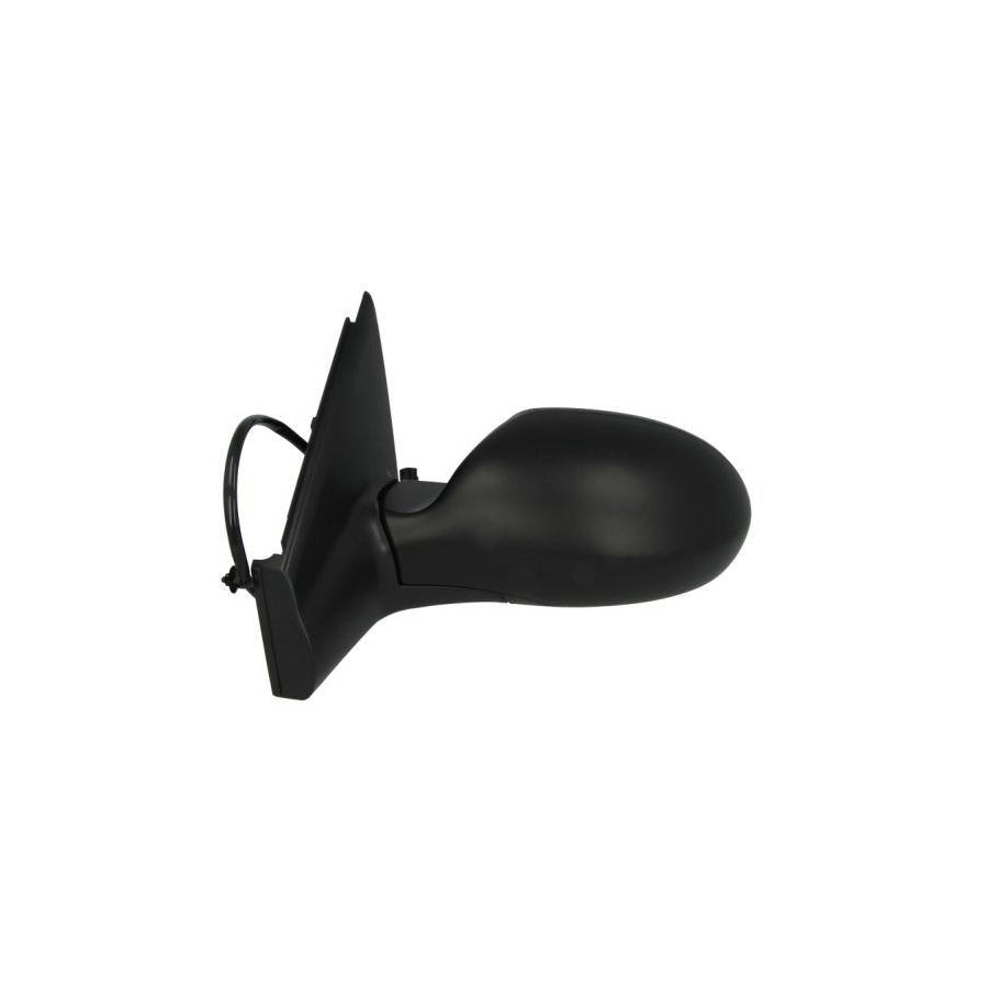 Blic 5402-04-1139850 Wing Mirror For Citroen C5