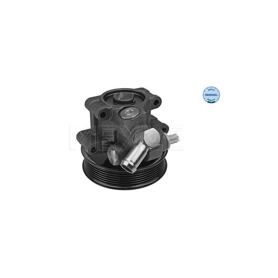 Meyle 714 631 0016 Power Steering Pump For Ford Transit