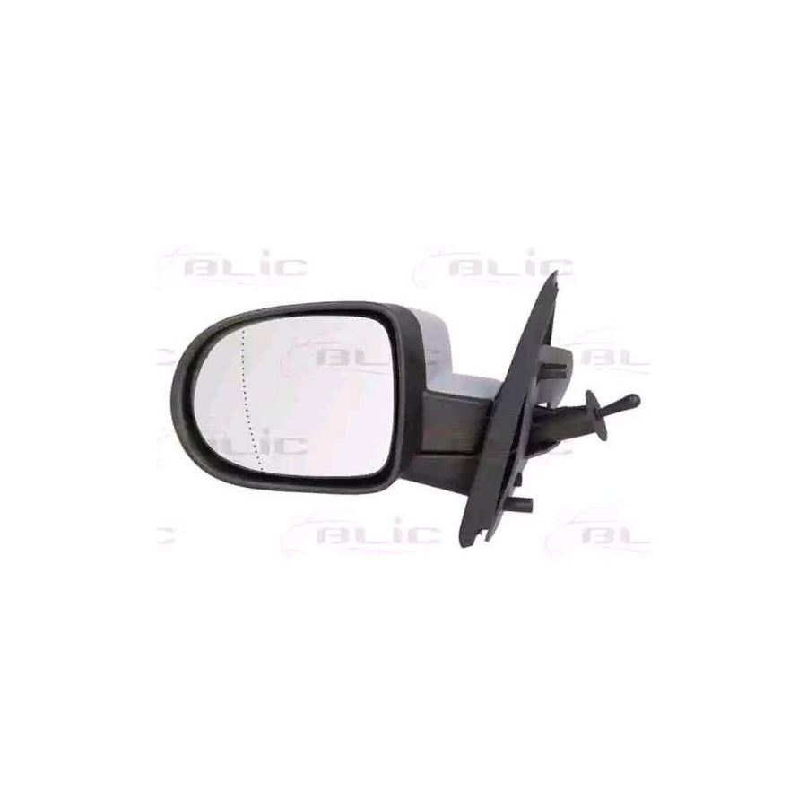 Blic 5402-09-2002233P Wing Mirror For Renault Twingo