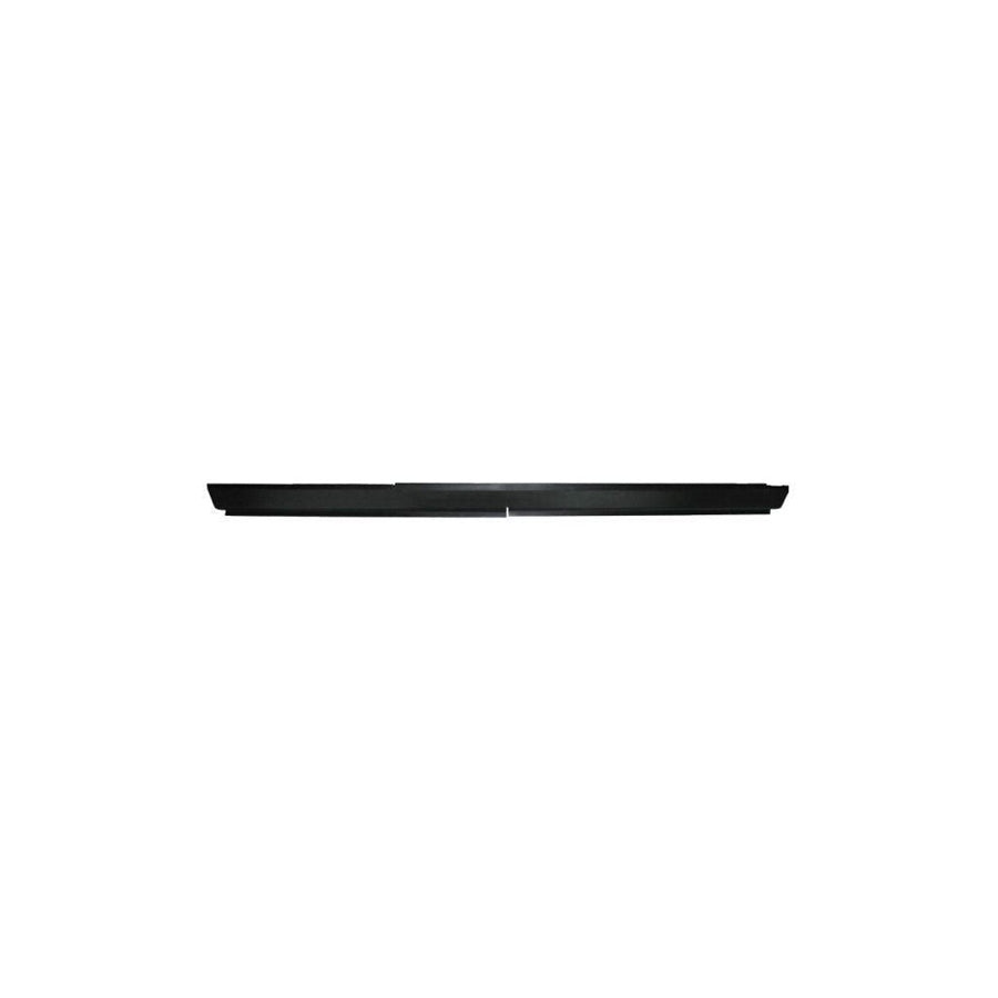 Blic 6505-06-2096001P Rocker Panel