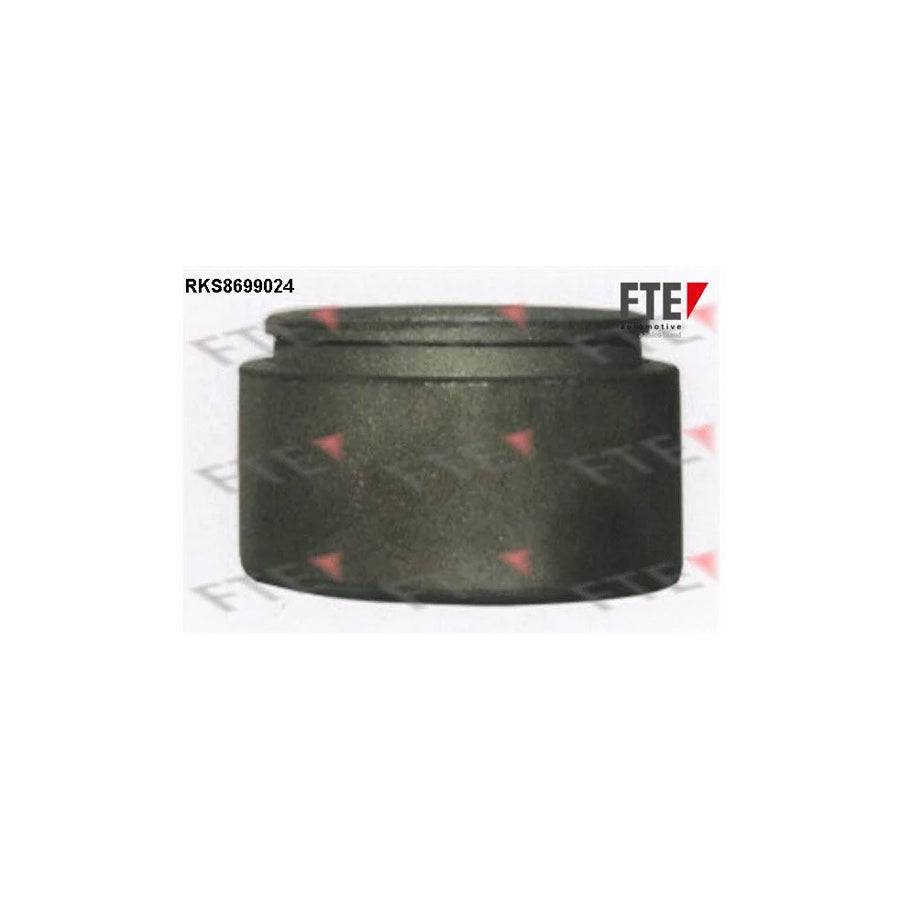 Fte 9313488 Piston, Brake Caliper | ML Performance UK Car Parts