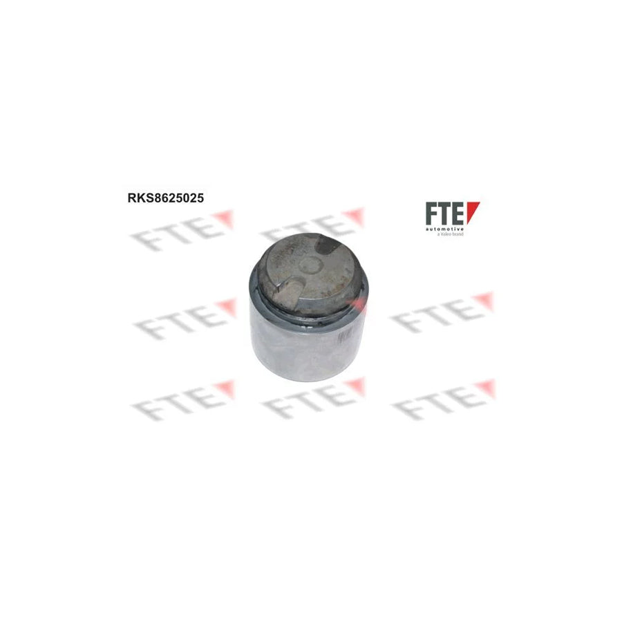 Fte RKS8625025 Piston, Brake Caliper | ML Performance UK Car Parts