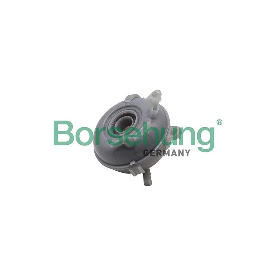 Borsehung B19282 Coolant Expansion Tank