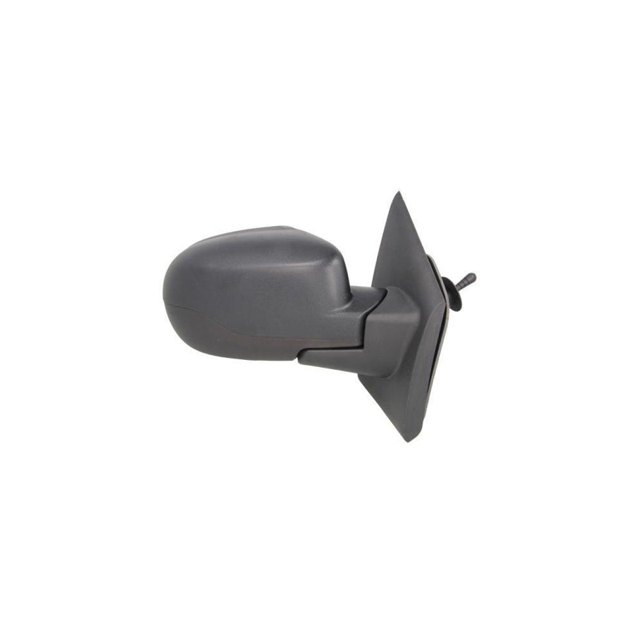 Blic 5402-09-2002232P Wing Mirror For Renault Twingo