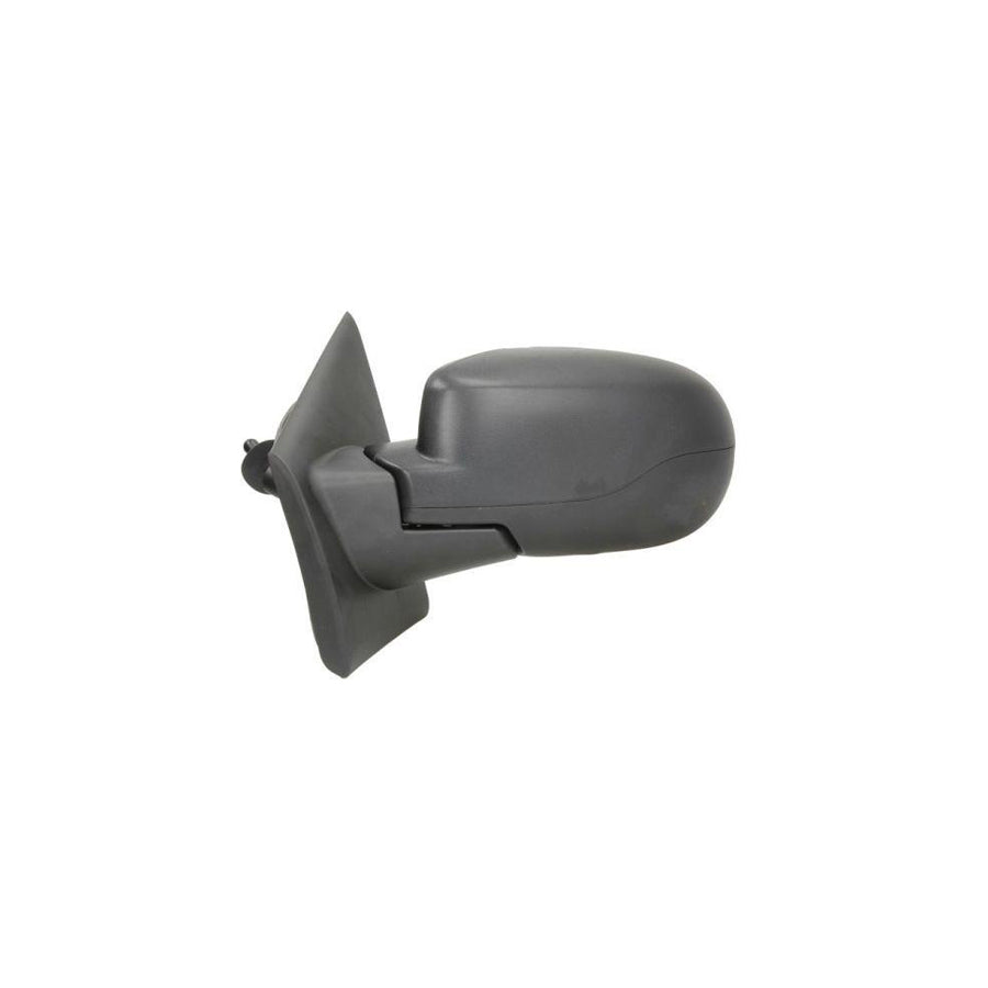 Blic 5402-09-2002231P Wing Mirror For Renault Twingo